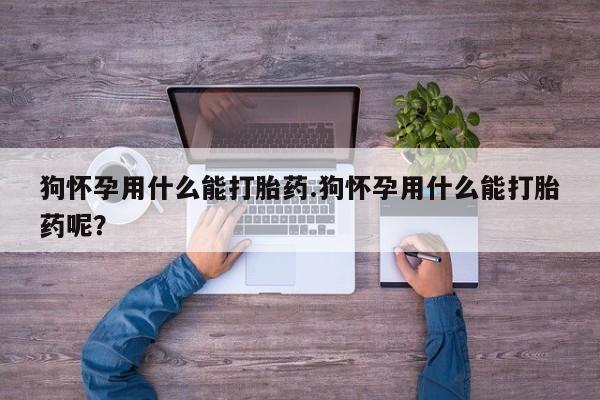 堕胎药购买狗怀孕用什么能打胎药.狗怀孕用什么能打胎药呢？