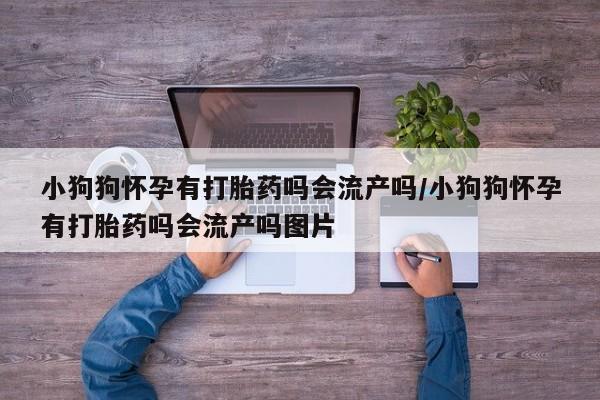 堕胎药购买小狗狗怀孕有打胎药吗会流产吗/小狗狗怀孕有打胎药吗会流产吗图片