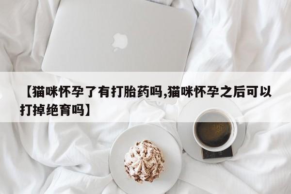 堕胎药购买【猫咪怀孕了有打胎药吗,猫咪怀孕之后可以打掉绝育吗】