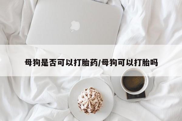 堕胎药购买母狗是否可以打胎药/母狗可以打胎吗